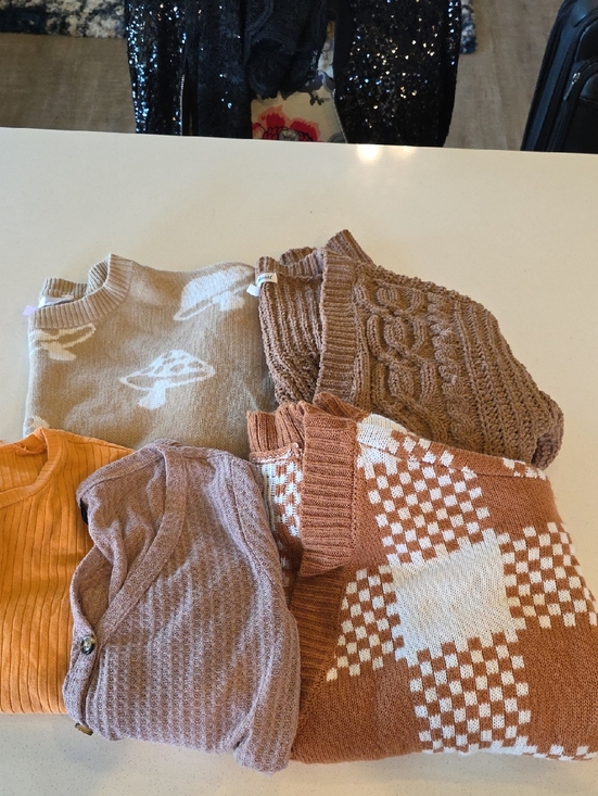 SHEIN Sweaters - SHEIN Mixed Knit Sweater Bundle in Rust, Cream, Tan, Mauve